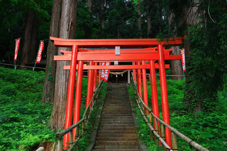 World Heritage Fresh Green Templeのeditorial素材