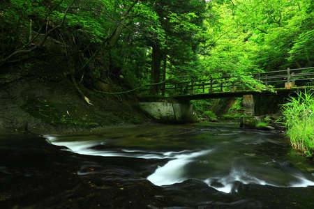 Summer Mountain Stream, Hanamaki City, Iwate Prefecture