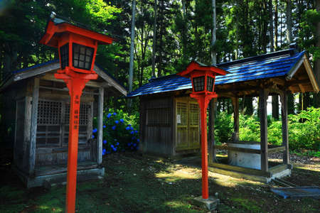 Hydrangeas blooming at a temple in Hanamaki City, Iwate Prefectureのeditorial素材