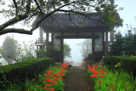 A flower on the shore in full bloom in Kitakami City, Iwate Prefectureの写真素材