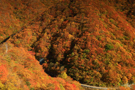 Tono City, Iwate Prefecture Aki-no-Ravine