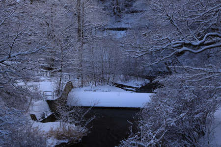 Hanamaki City, Iwate Prefecture Winter Mountain Stream