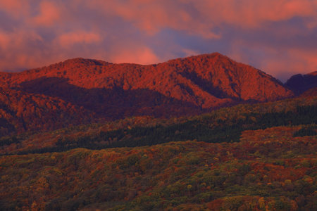 Oshu City, Iwate Prefecture Yakeishidake of autumn leavesの写真素材