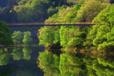 beautiful landscape with a bridge over the river and trees reflected in waterの写真素材