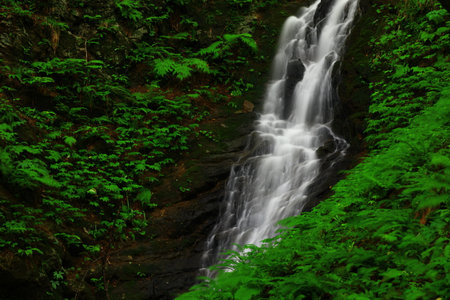 Waterfall in the forest at sunrise