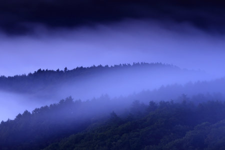 Foggy morning in the Carpathian mountains, Ukraine.の写真素材