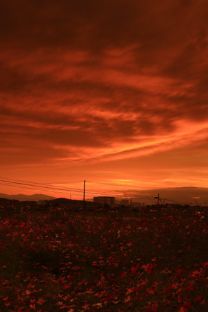 Sunrise in the countryside of Nanjing, Jiangxi, Chinaの写真素材
