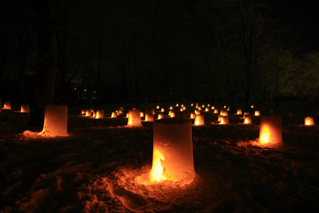 Snow scene at sunrise