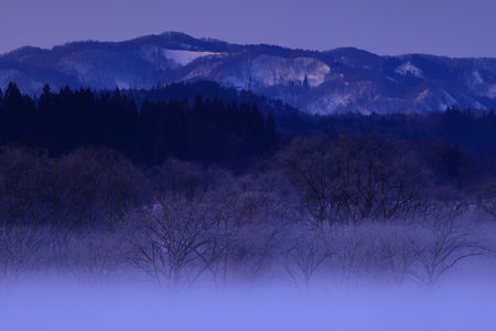 Snow scene at sunriseの写真素材