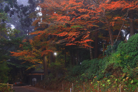 Autumn landscape with colorful forest and lake in the morning, South Koreaの写真素材