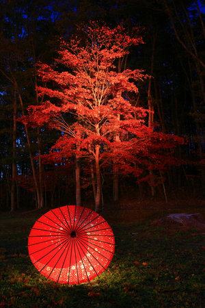 Iwate Prefecture Folk Arts Performance: Nenbutsu Kenbutsuの写真素材