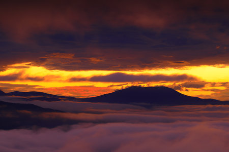 Fog in the morning at Doi Mae Salong, Chiang Rai, Thailand