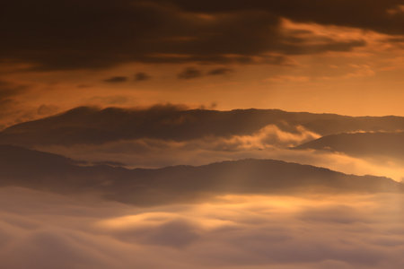 Fog in the morning