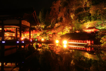Autumn leaves in the park at night, Kyoto, Japan.の写真素材
