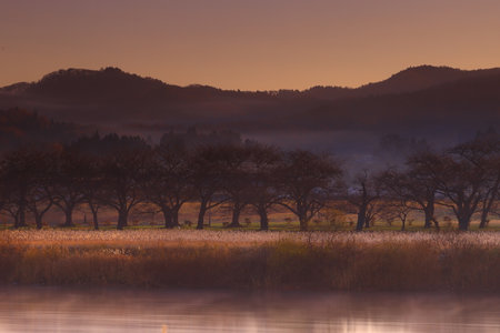 Sunset on the river, with fog and trees in the foregroundの写真素材