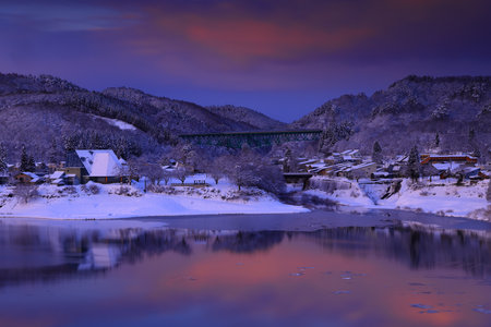 Night view of the lake and trees in winter, South Korea.の写真素材