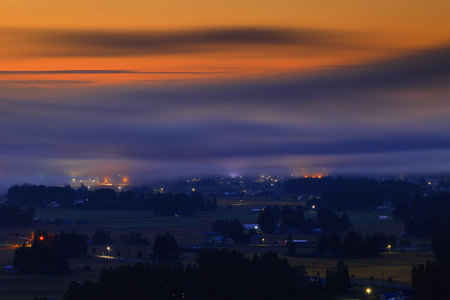 Sunset with fog and trees in the foreground