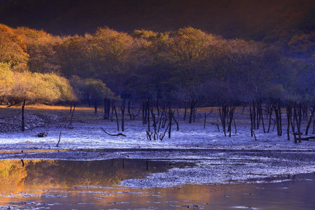 Colorful autumn forest reflected in the lake at sunset. Autumn landscape.の写真素材