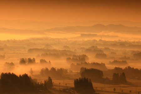 Sunset on the river, with fog and trees in the foreground