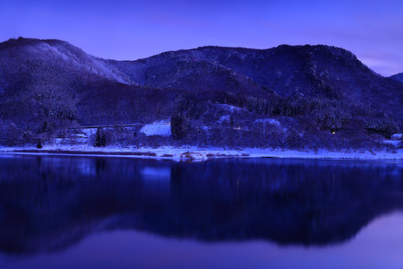 Night view of the lake and trees in winter, South Korea.の写真素材