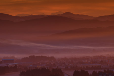 Sunset with fog and trees in the foregroundの写真素材