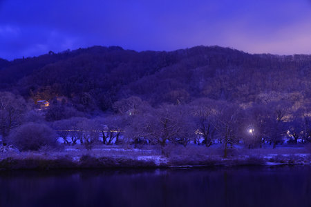 Night view of the lake and trees in winter, South Korea.の写真素材