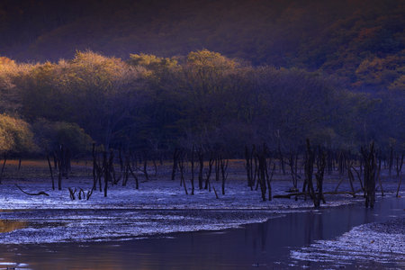 Colorful autumn forest reflected in the lake at sunset. Autumn landscape.の写真素材
