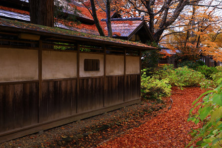 Autumn leaves in the Japanese garden with a Japanese house in the backgroundの写真素材