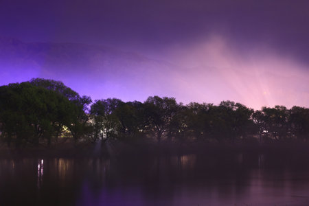 Cherry blossoms in full bloom in the park in Kyoto, Japanの写真素材