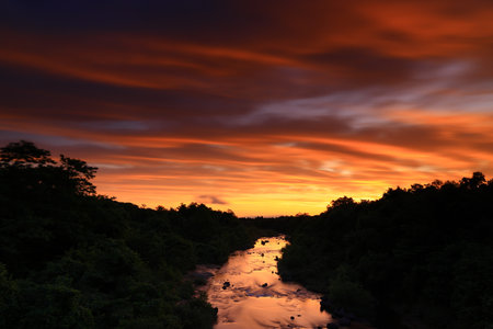 Long exposure of a river flowing through the forest at dusk. Taken in Shenandoah National Park,...