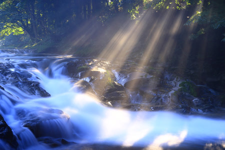 beautiful waterfall in the forest with sunbeams and lens flare