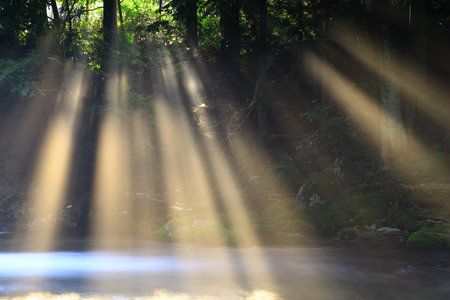 beautiful waterfall in the forest with sunbeams and lens flare