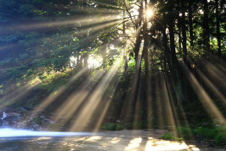 beautiful waterfall in the forest with sunbeams and lens flare