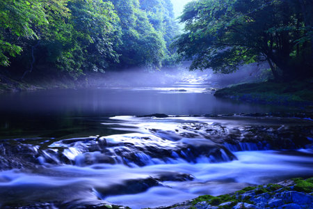 River in the forest with fog and trees in the background, closeup of photoの写真素材