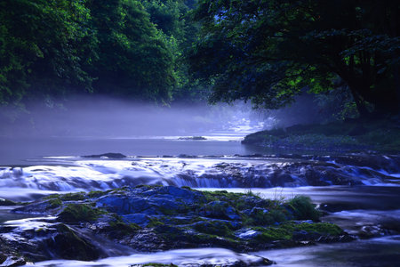River in the forest with fog and trees in the background, closeup of photoの写真素材