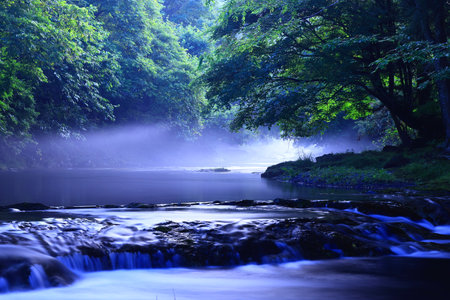 River in the forest with fog and trees in the background, closeup of photoの写真素材