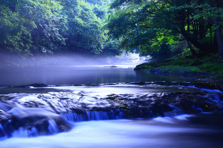 River in the forest with fog and trees in the background, closeup of photo