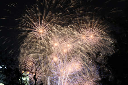 Firework display at nightの写真素材