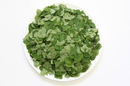 Moringa Oleifera leaves in a plateの写真素材