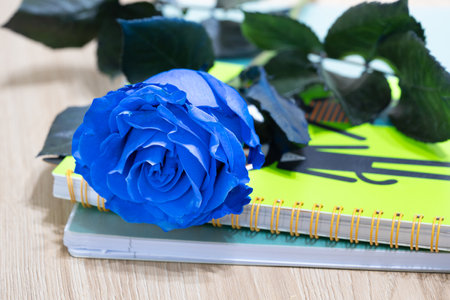 Blue rose flower macro in a backfroud with fresh petalsの写真素材