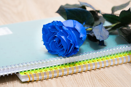 Blue rose and notebook on wooden table. Valentine's Day concept.の写真素材