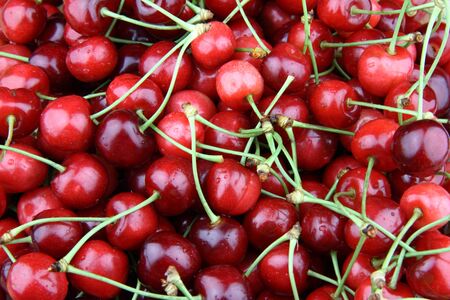 Close-up of fresh cherries.の写真素材