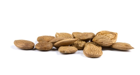 Close-up of apricot seeds on white background.の写真素材