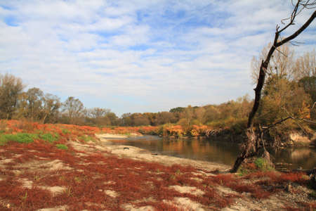 Nature in autumn color with river の写真素材