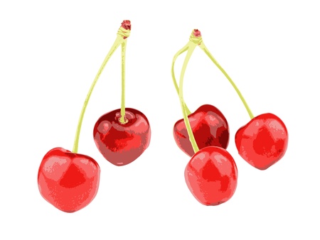 Sweet red grunge cherries on white background - illustration のイラスト素材