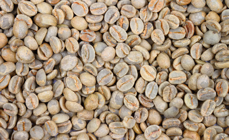 Close up of green coffee beans for background.の写真素材