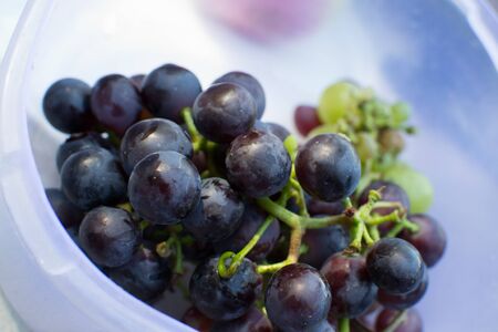 Dark grapes in plateの写真素材