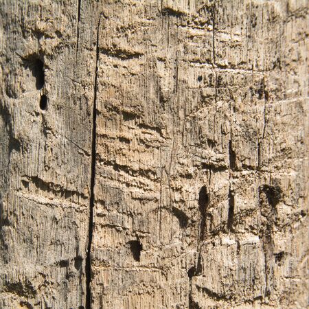 old wooden board, backgroundの写真素材