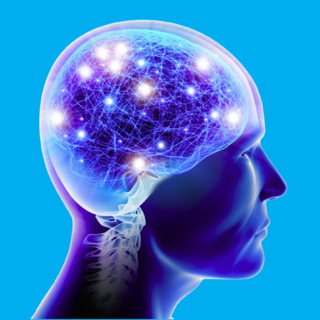 Unlock your genius with this vibrant illustration of the human brain and its neural networksの写真素材