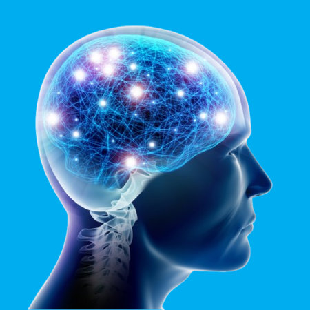 brain activity with neural network connections for medical research and technology conceptsの写真素材